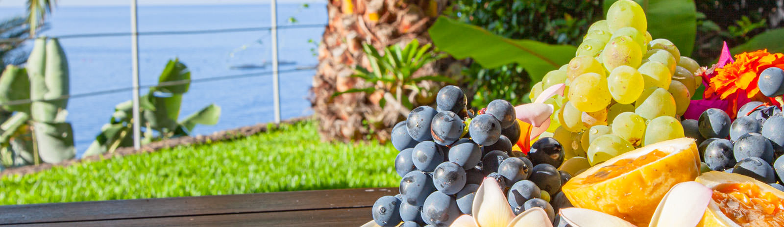 Apartments in Calheta